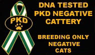 PKD